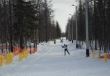 Ямальская лыжня - 2021